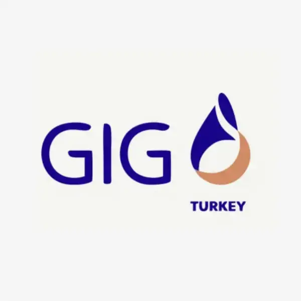 Gıg Sigorta